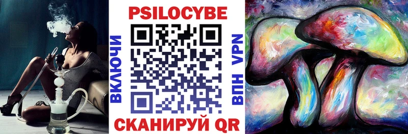 MEGA tor  Липецк  Псилоцибиновые грибы прущие грибы 